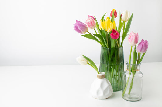 tulips